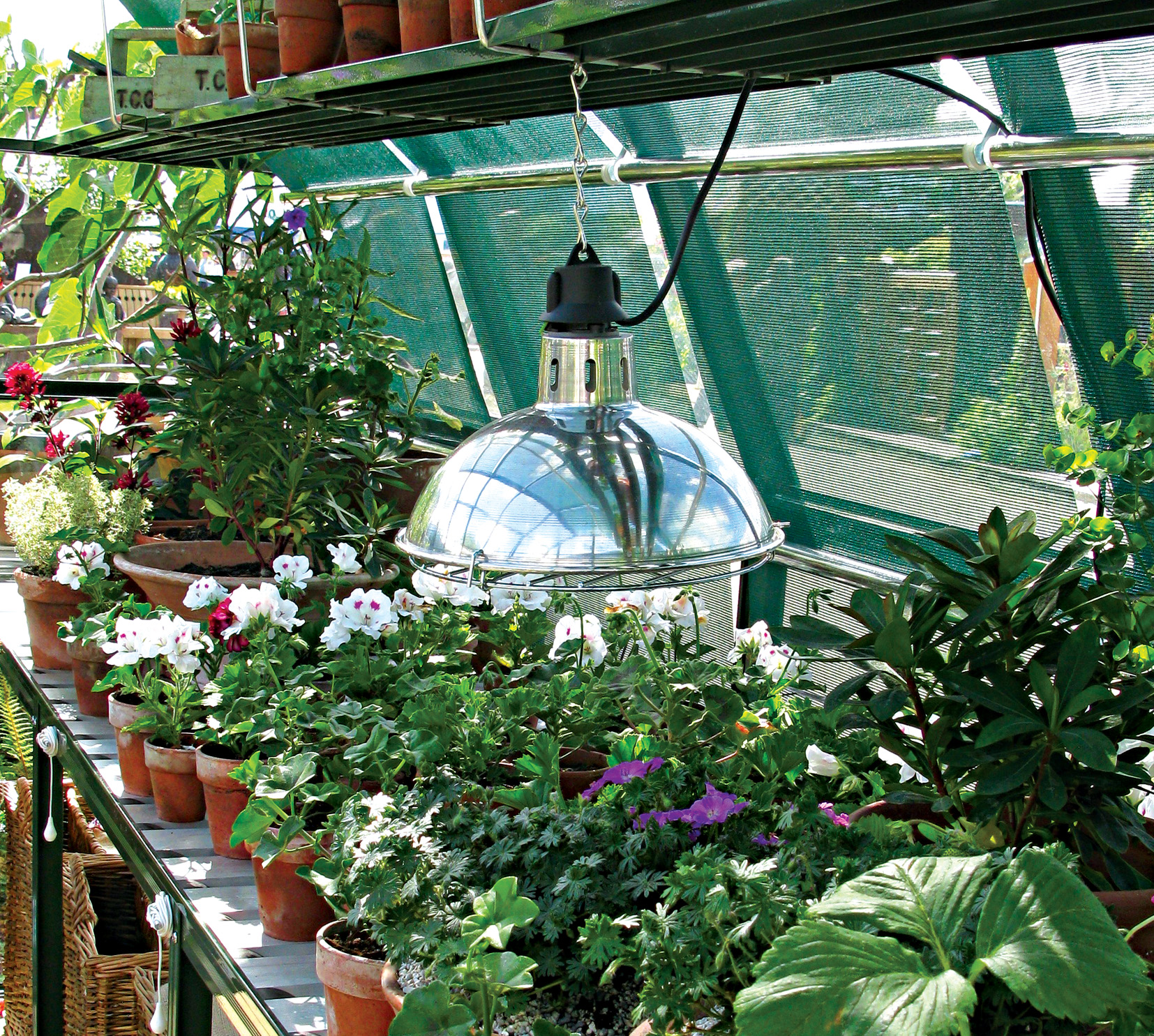 Greenhouse Light Hartley Botanic